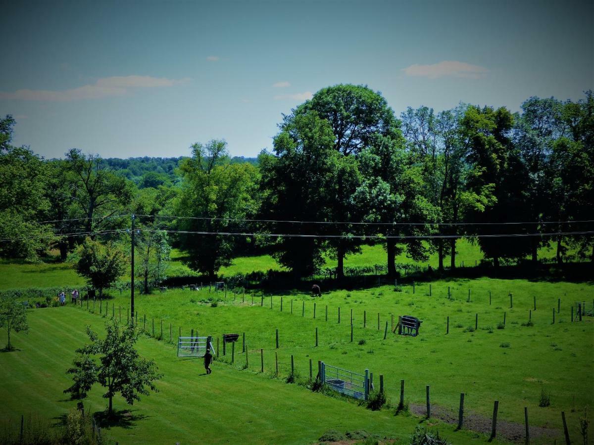 L'ancien Presbytere D'hote Ou Bed and breakfast 3*